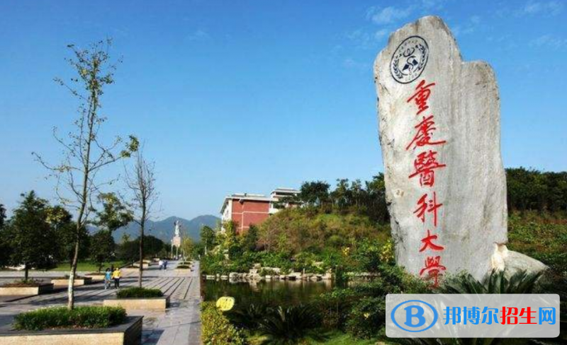 重慶醫(yī)科大學(xué)排名全國第幾位