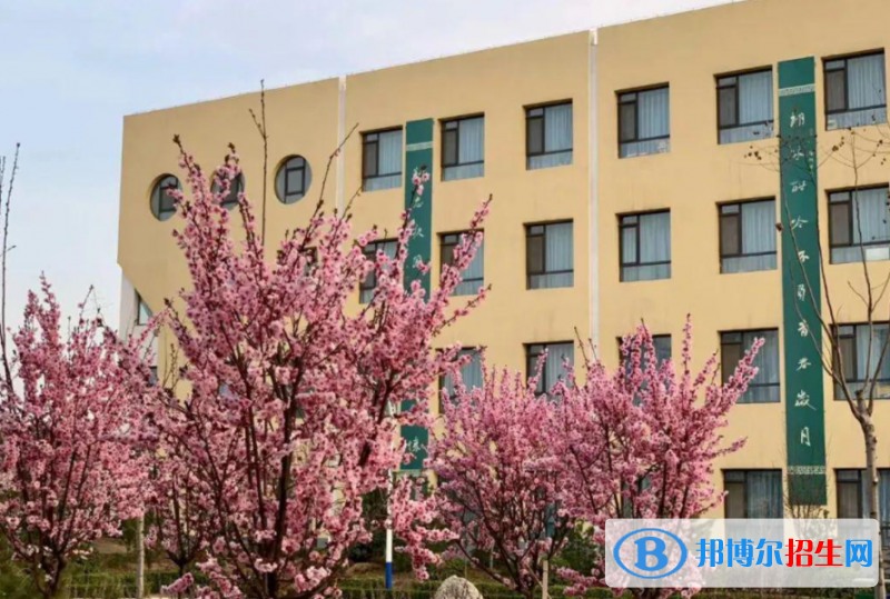 萬榮盛康中學2022錄取分數線（2023參考）