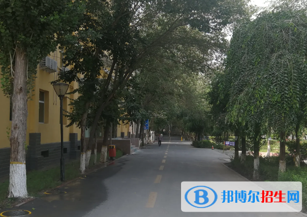 新疆林業(yè)學(xué)校怎么樣、好不好(2023參考)