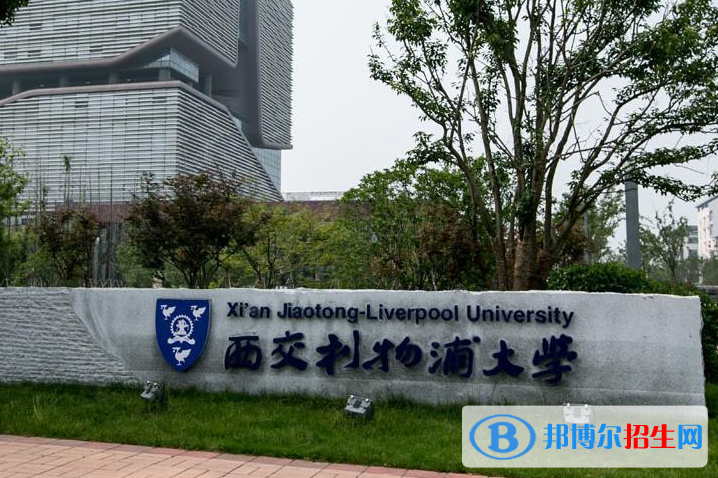 中外合作大學完整名單及排名一覽