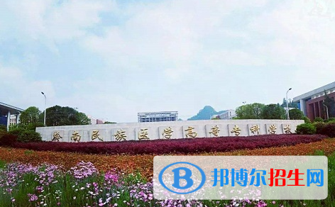 2023貴州?？圃盒Ｃ麊? width=