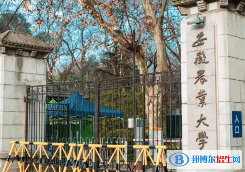 2023全國小211工程大學名單排名一覽表
