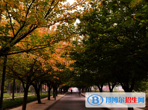 高考優(yōu)秀作文:以浪費(fèi)為話題（3篇）