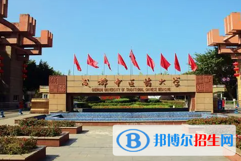 2023全國中西醫(yī)結合類大學排名