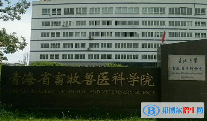 2023青海十大?？圃盒Ｅ琶挥[表
