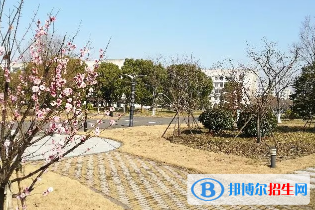 2023年山東高考時間