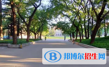 2023美術(shù)生高考分數(shù)線計算公式