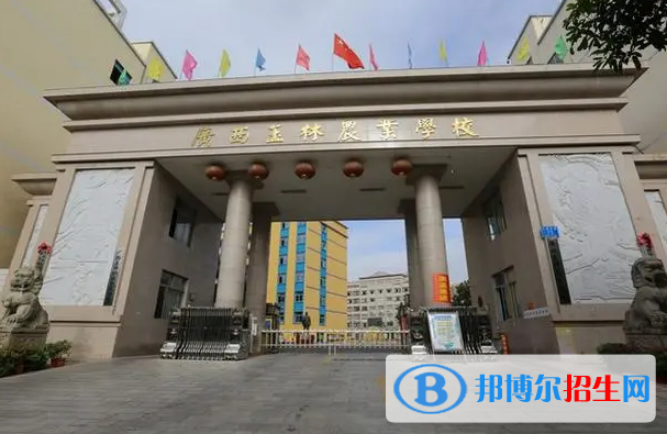 2024玉林職業(yè)學校有哪些  玉林職業(yè)學校名單一覽表