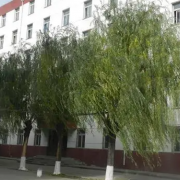 張家口文華電力中等職業(yè)學校