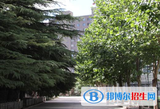 2023北京科技高級技術(shù)學(xué)校招生計劃 招生人數(shù)是多少(附要求、條件、對象)