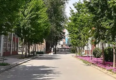 新鄉(xiāng)市紅旗區(qū)職業(yè)教育中心怎么樣、好不好(2023參考)