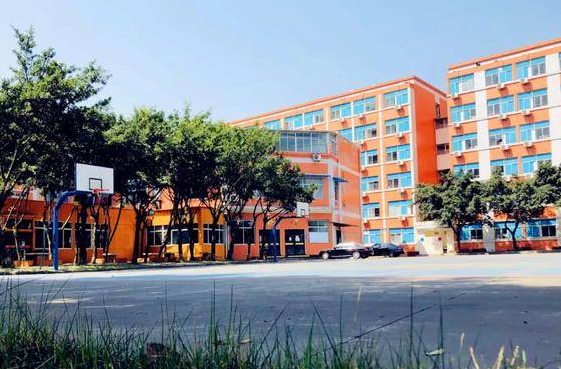 2023年四川現(xiàn)代藝術(shù)學(xué)校開設(shè)的專業(yè)一覽表