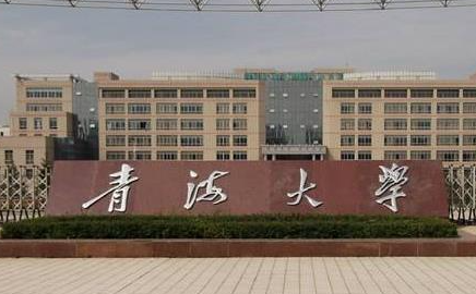 河池學(xué)院和青海大學(xué)怎么選？哪個好？附全國排名和分數(shù)線