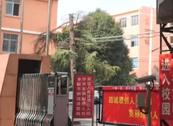 2023焦作衛(wèi)生醫(yī)藥學(xué)校招生計(jì)劃 招生人數(shù)是多少(附要求、條件、對象)