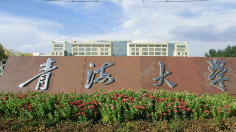 天津美術(shù)學(xué)院和青海大學(xué)怎么選？哪個(gè)好？附分?jǐn)?shù)線