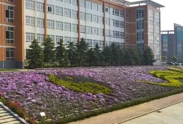 2023南陽中醫(yī)藥學校招生計劃 招生人數(shù)是多少(附要求、條件、對象)