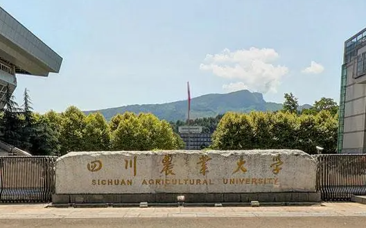哈爾濱體育學院和四川農(nóng)業(yè)大學怎么選？哪個好？附全國排名和分數(shù)線