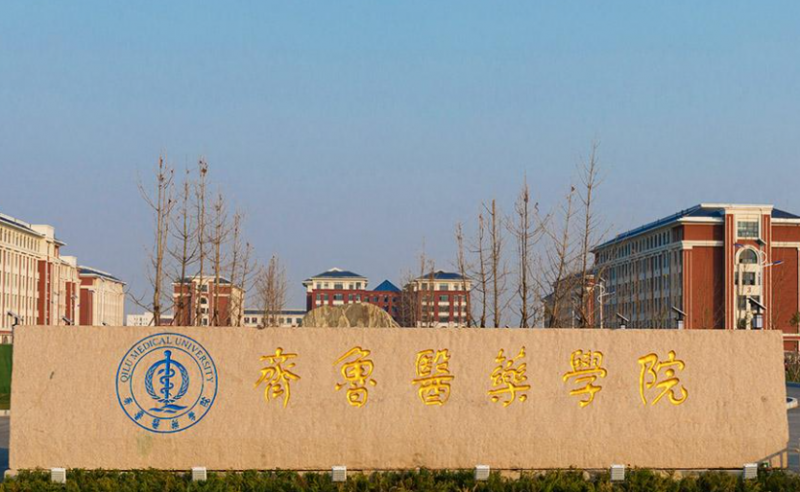 對(duì)外經(jīng)濟(jì)貿(mào)易大學(xué)和齊魯醫(yī)藥學(xué)院怎么選？哪個(gè)好？附分?jǐn)?shù)線