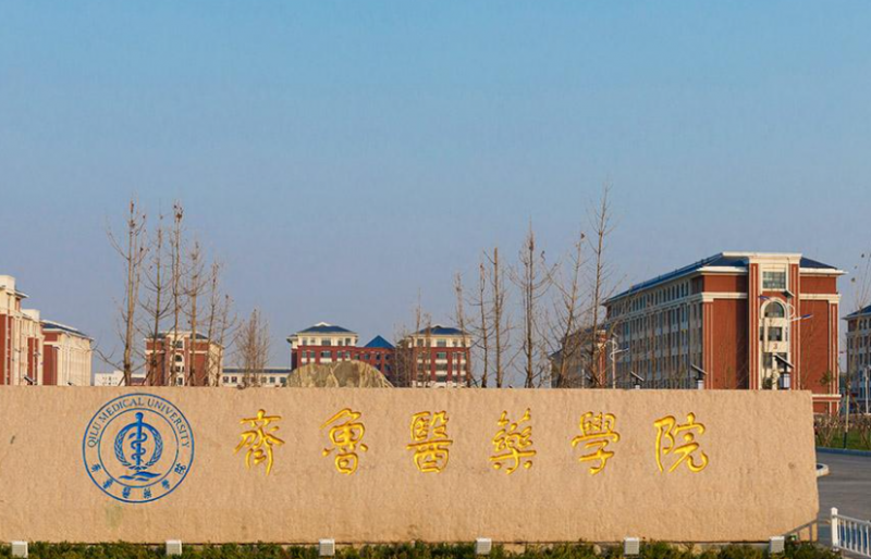 揚(yáng)州大學(xué)和齊魯醫(yī)藥學(xué)院怎么選？哪個好？附分?jǐn)?shù)線