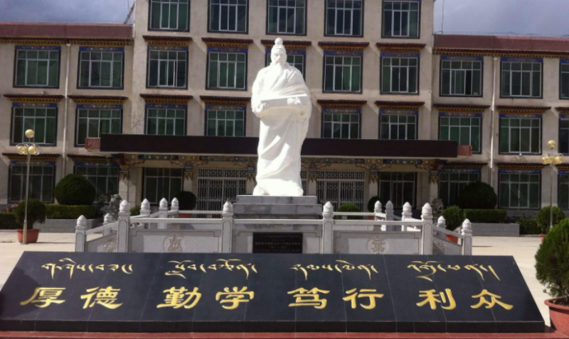 江蘇大學(xué)和西藏藏醫(yī)藥大學(xué)怎么選？哪個好？附全國排名