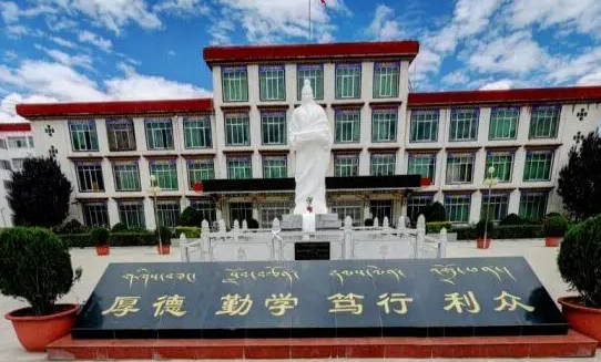 杭州電子科技大學(xué)和西藏藏醫(yī)藥大學(xué)怎么選？哪個好？附全國排名