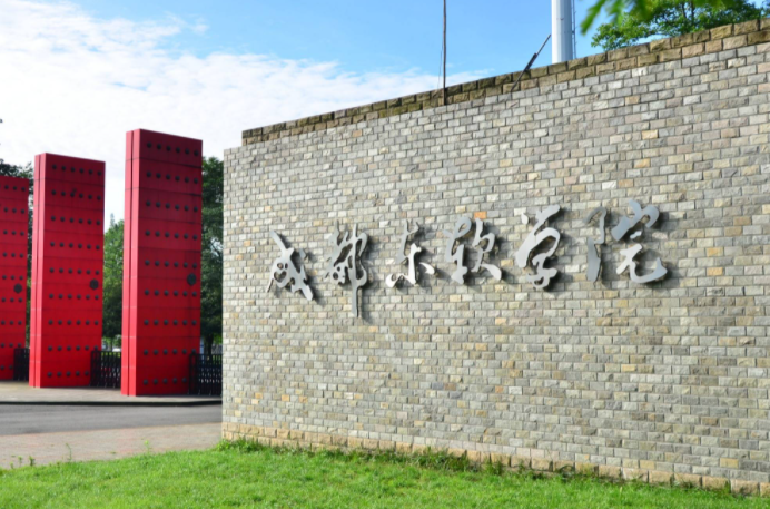 遼寧大學(xué)和成都東軟學(xué)院怎么選？哪個(gè)好？附分?jǐn)?shù)線