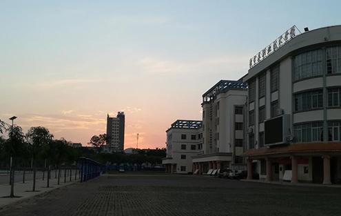 2023武宣縣職業(yè)技術(shù)學(xué)校招生簡章