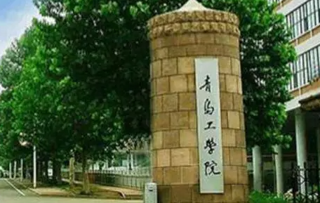 山西大學(xué)和青島工學(xué)院怎么選？哪個好？附分?jǐn)?shù)線