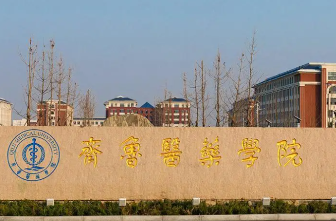齊魯工業(yè)大學(xué)和齊魯醫(yī)藥學(xué)院怎么選？哪個(gè)好？附分?jǐn)?shù)線