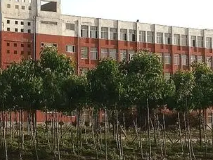 2023周口市聯(lián)營職業(yè)中等專業(yè)學(xué)校招生計劃 招生人數(shù)是多少(附要求、條件、對象)