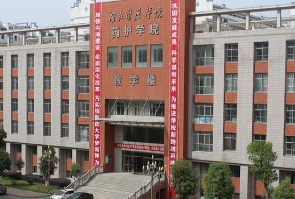 廣東工業(yè)大學(xué)和湖北醫(yī)藥學(xué)院藥護(hù)學(xué)院怎么選？哪個(gè)好？附分?jǐn)?shù)線