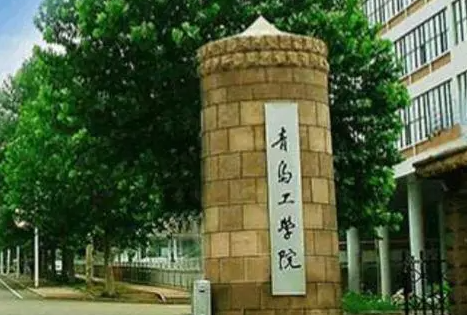 河南科技大學(xué)和青島工學(xué)院怎么選？哪個(gè)好？附分?jǐn)?shù)線