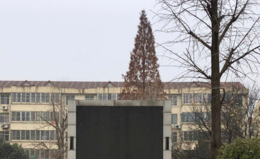 2023臨沂公辦幼師學校有哪些 臨沂公辦幼師學校名單一覽表