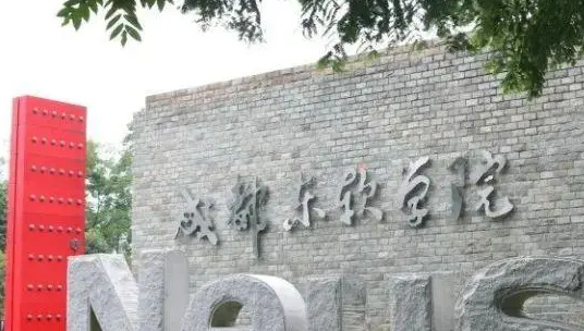 中央財經(jīng)大學(xué)和成都東軟學(xué)院怎么選？哪個好？附分數(shù)線