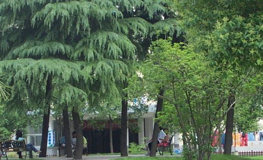 2023駐馬店公辦汽修學校有哪些 駐馬店公辦汽修學校名單一覽表