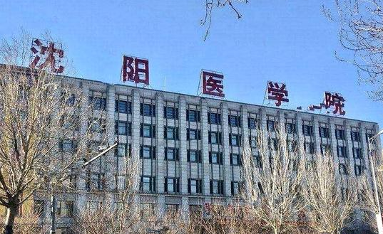 沈陽(yáng)醫(yī)學(xué)院什么專(zhuān)業(yè)好，沈陽(yáng)醫(yī)學(xué)院專(zhuān)業(yè)排名