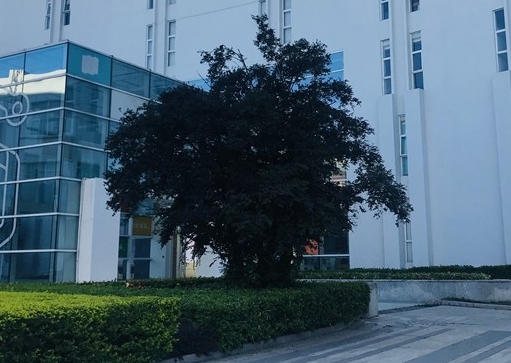 汕頭市科技應(yīng)用職業(yè)技術(shù)學(xué)校地址，乘車路線