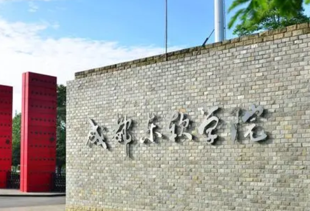 成都東軟學院什么專業(yè)好，成都東軟學院專業(yè)排名