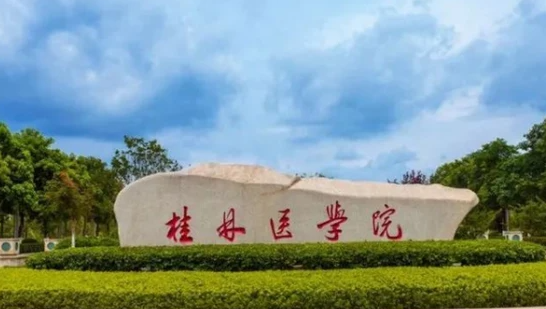桂林醫(yī)學(xué)院什么專(zhuān)業(yè)好，桂林醫(yī)學(xué)院專(zhuān)業(yè)排名