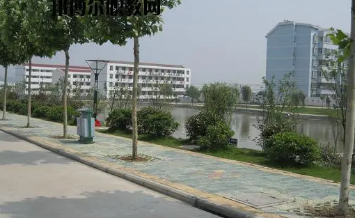 2024合肥公辦新能源汽車學校有哪些 合肥公辦新能源汽車學校名單一覽表