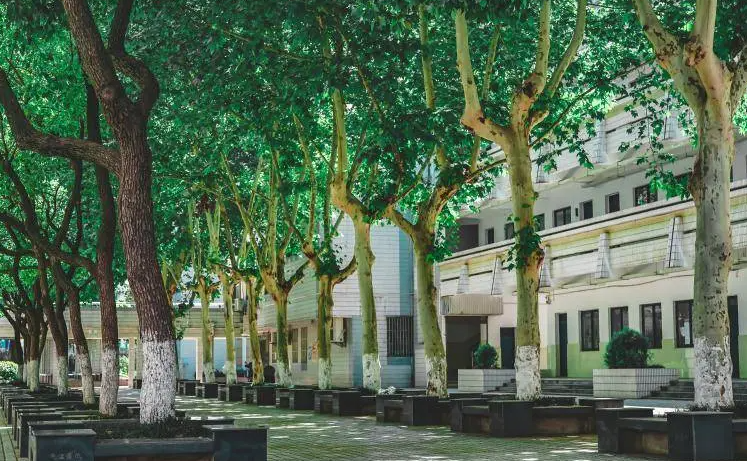 2023南京市第六十六中學(xué)招生計(jì)劃 招生人數(shù)是多少(附要求、條件、對(duì)象)