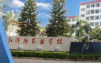 2023紅河護(hù)理學(xué)校有哪些 紅河護(hù)理學(xué)校名單一覽表