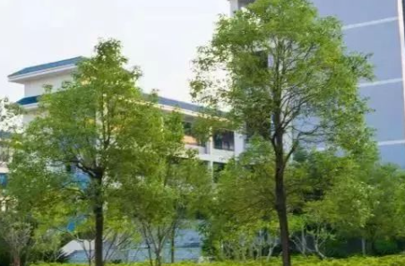 2023惠州排名前八的消防工程技術(shù)學(xué)校名單
