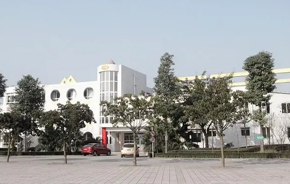 2023成都公辦室內(nèi)設(shè)計學(xué)校有哪些 成都公辦室內(nèi)設(shè)計學(xué)校名單一覽表