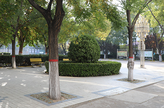 長(zhǎng)治技師學(xué)院地址，乘車路線