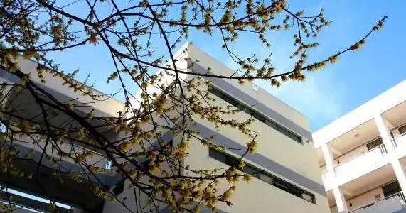 2023蘇州市相城區(qū)黃埭中學多少錢(學費明細)
