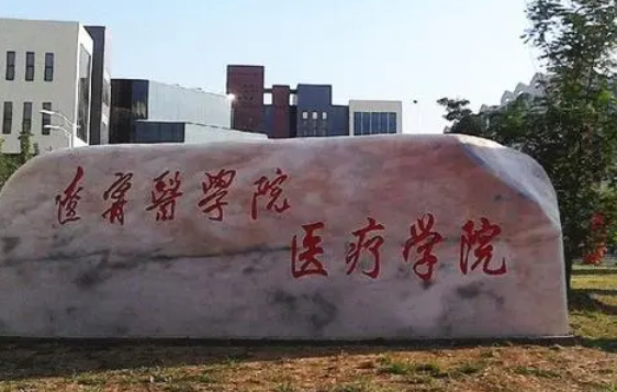 錦州醫(yī)科大學醫(yī)療學院錄取規(guī)則2023年