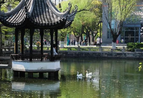 2023江蘇省蘇州中學招生計劃 招生人數(shù)是多少(附要求、條件、對象)