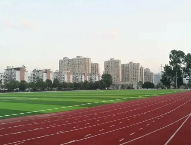 2023金沙高級中學(xué)招生計劃 招生人數(shù)是多少(附要求、條件、對象)