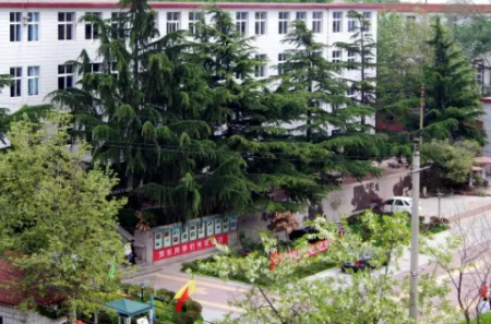 青島工貿(mào)職業(yè)學(xué)校招生簡章2023年